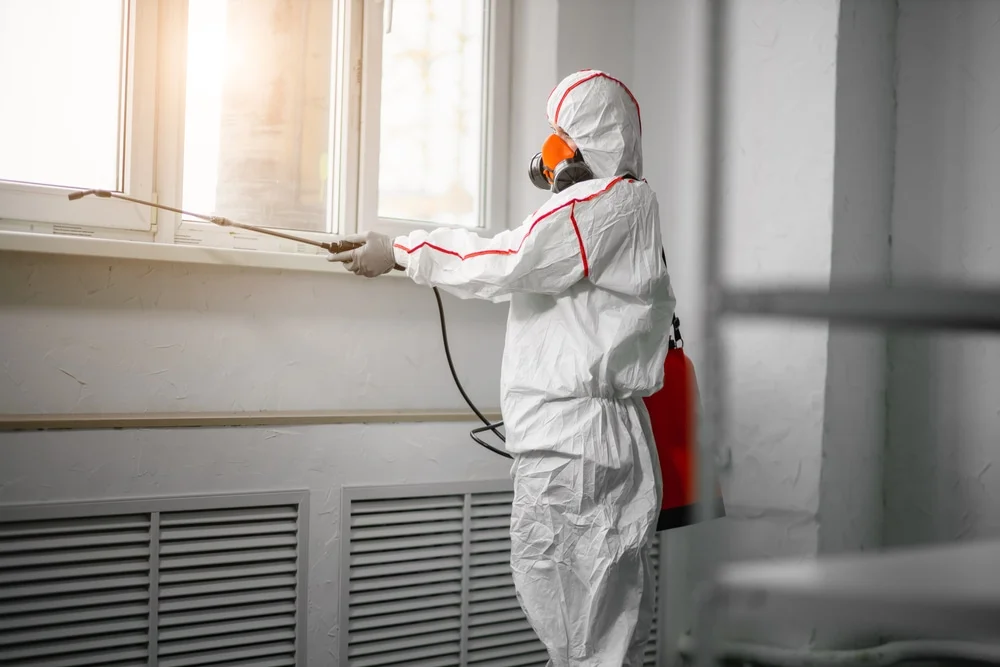 Professional mold remediation services in Plainfield, IN